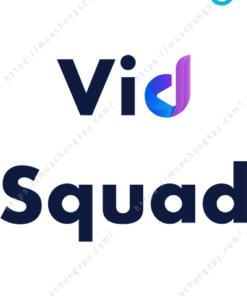 VidSquad