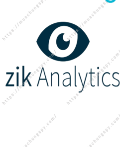 Zik Analytic