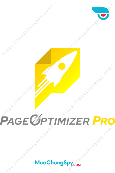 Page Optimizer Pro