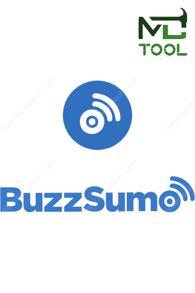 Buzzsumo Large
