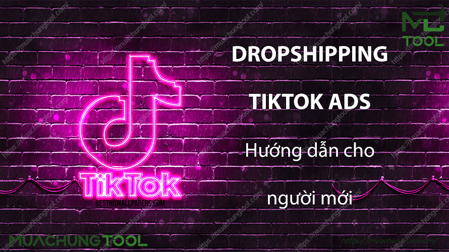 Dropshipping cùng với Tiktok Ads: Hướng dẫn cho người mới