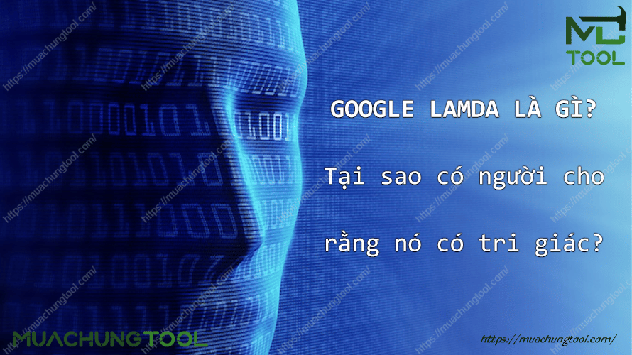 Google LaMDA là gì? Tại sao có người cho rằng nó có tri giác?