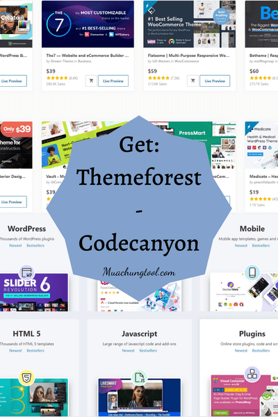 Get Themeforest   Codecanyon