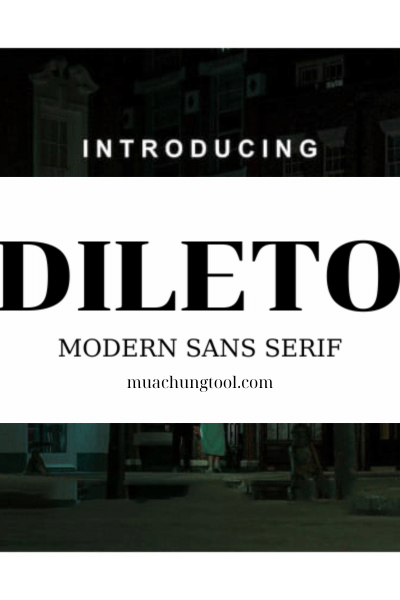 Dileto Modern Sans Serif Font