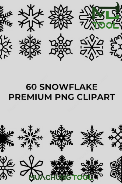 60 Snowflake Premium PNG Clipart