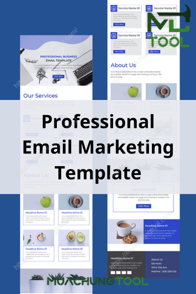 Professional Email Marketing Template